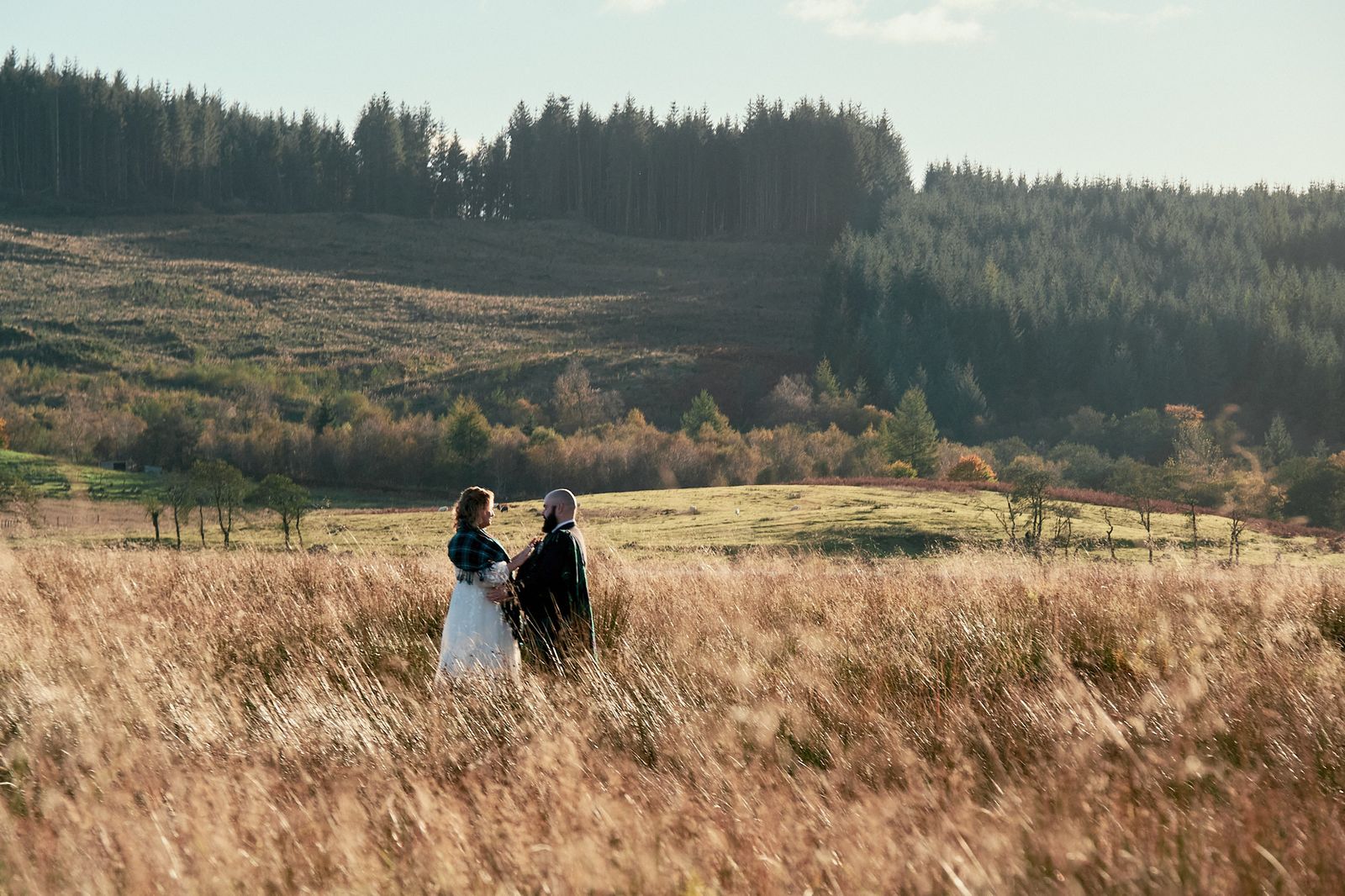 The couple standing together in a golden meadow below the forest